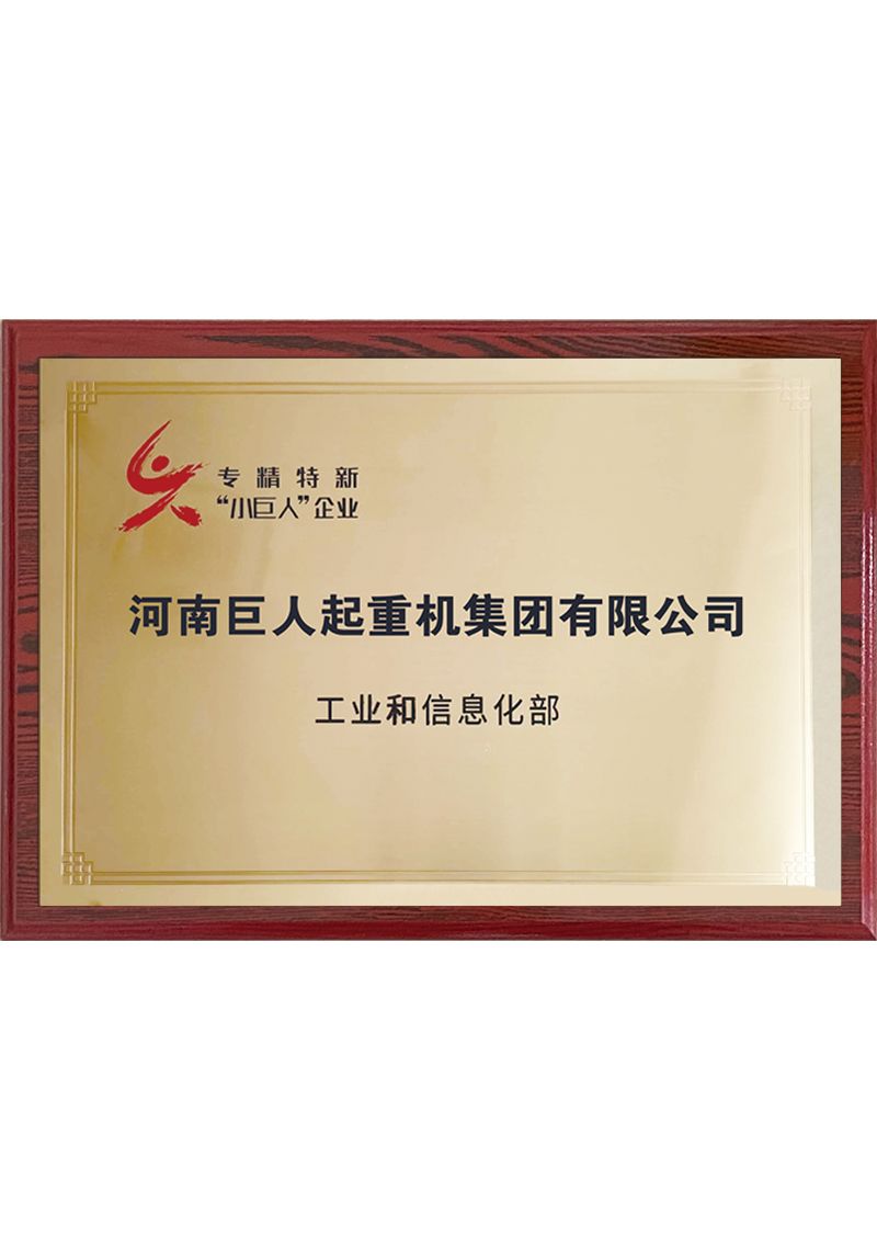 國家級專精特新小巨人企業(yè)